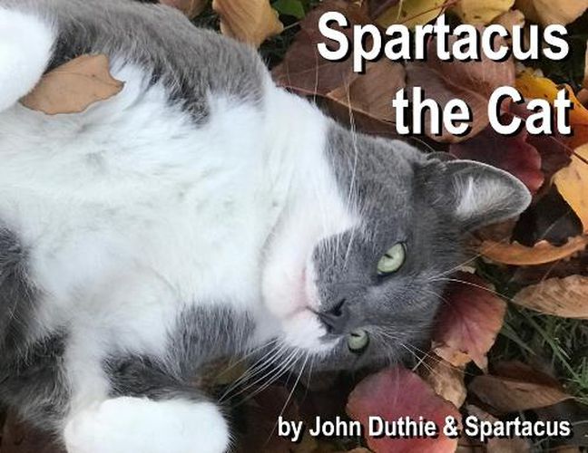 Cover image for Spartacus the Cat