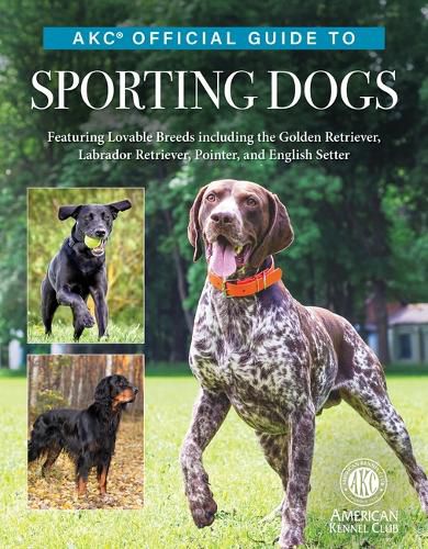 Cover image for Akc Official Guide to Sporting Dogs