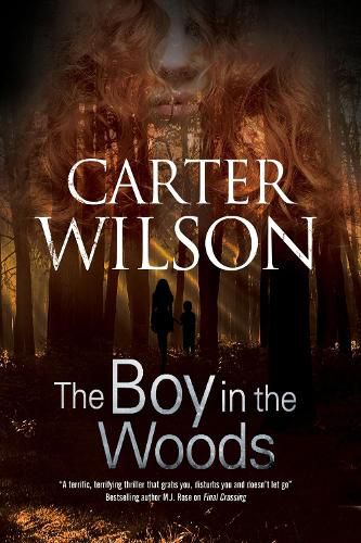 Cover image for The Boy in the Woods