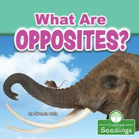 Cover image for What Are Opposites?