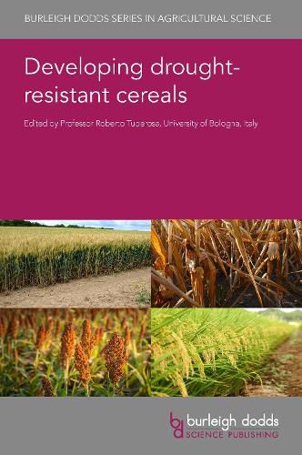 Developing Drought-Resistant Cereals