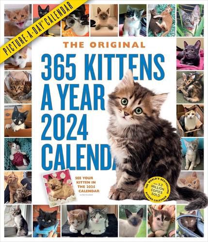 Cover image for 365 Kittens-A-Year Picture-A-Day Wall Calendar 2024