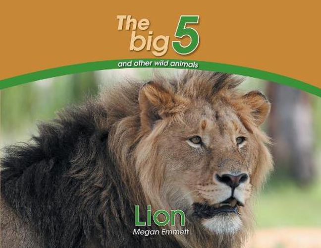 Cover image for Lion: The Big 5 and other wild animals