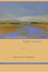 Cover image for Low Country, High Water