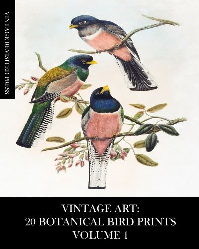 Cover image for Vintage Art: 20 Botanical Bird Prints Volume 1: Ephemera for Framing, Collage, Decoupage and Junk Journals