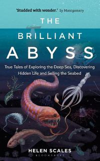 Cover image for The Brilliant Abyss: True Tales of Exploring the Deep Sea, Discovering Hidden Life and Selling the Seabed