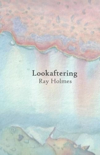 Cover image for Lookaftering