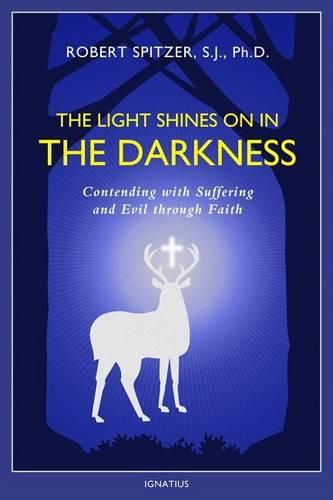 Cover image for The Light Shines on in the Darkness: Transforming Suffering Through Faith