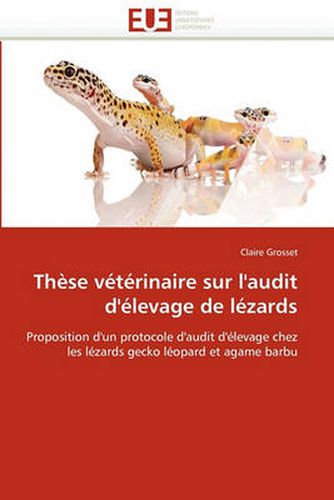 Cover image for Th Se V T Rinaire Sur L'Audit D' Levage de L Zards