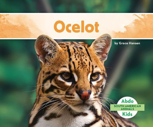 Cover image for Ocelot