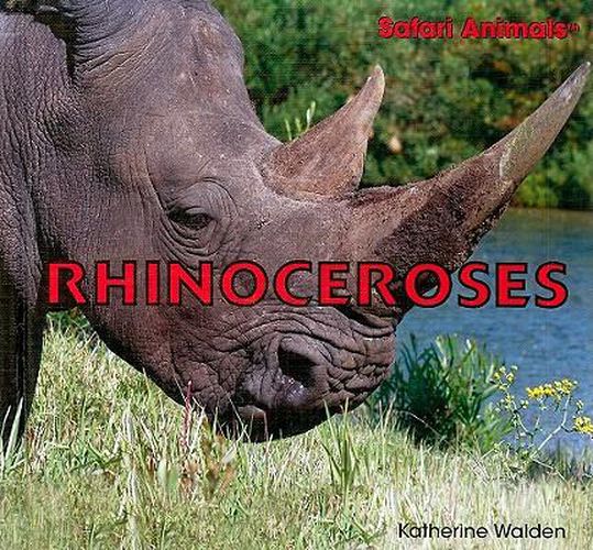 Cover image for Rhinoceroses