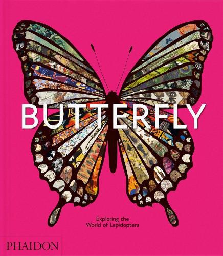 Cover image for Butterfly