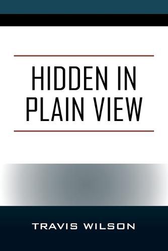 Cover image for Hidden in Plain View