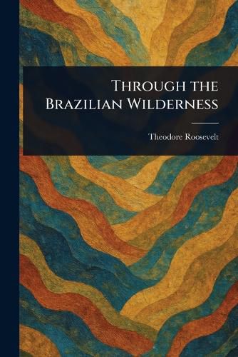 Cover image for Through the Brazilian Wilderness