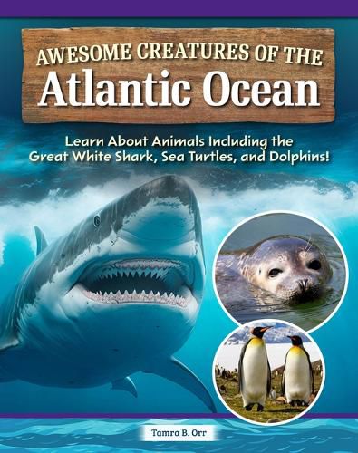 Cover image for Awesome Creatures of the Atlantic Ocean