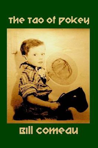 Cover image for The Tao of Pokey