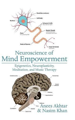 Cover image for Neuroscience of Mind Empowerment