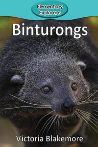 Cover image for Binturongs