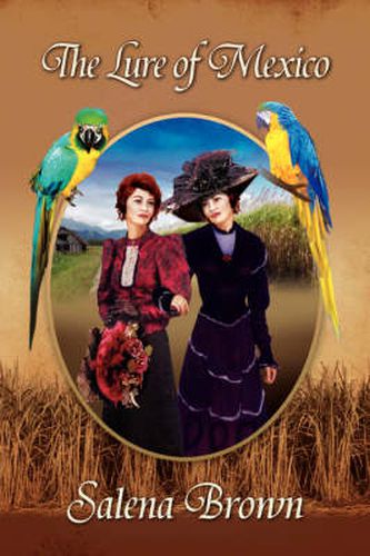 Cover image for The Lure of Mexico