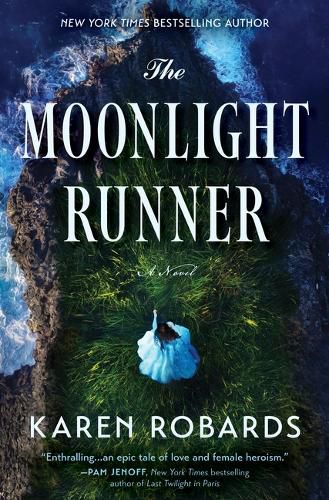 Cover image for The Moonlight Runner