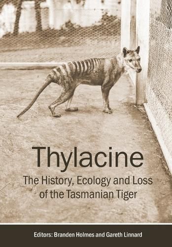 Cover image for Thylacine