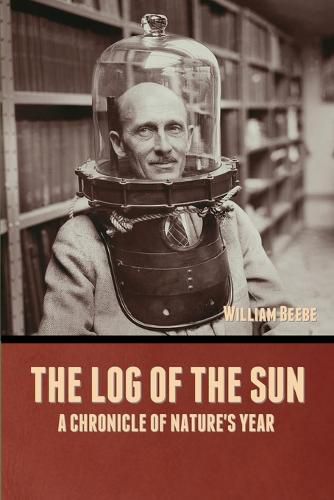 Cover image for The Log of the Sun