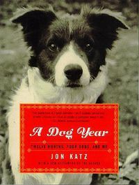 Cover image for A Dog Year: Twelve Months, Four Dogs, and Me