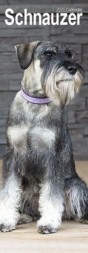 Cover image for Schnauzer Slim Calendar 2025 Dog Breed Slimline Calendar - 12 Month