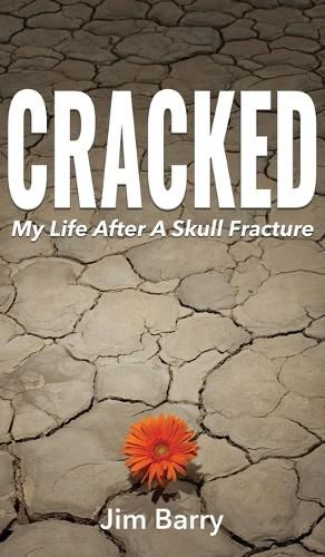 Cover image for Cracked