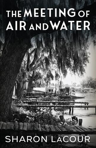 Cover image for The Meeting of Air and Water