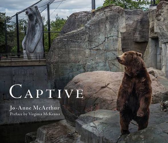 Cover image for Captive