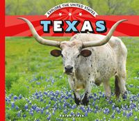 Cover image for Texas