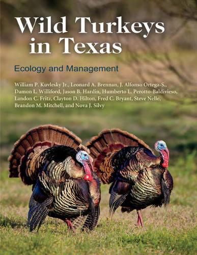 Cover image for Wild Turkeys in Texas: Ecology and Management