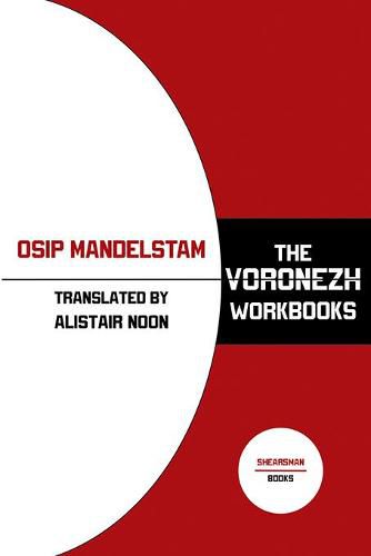 Cover image for The Voronezh Workbooks