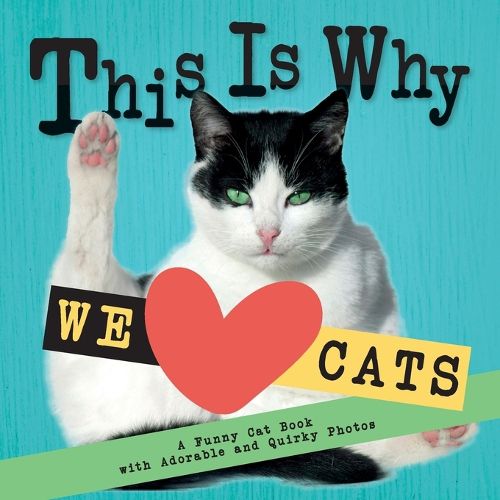 Cover image for This Is Why We Love Cats