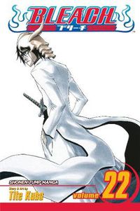 Cover image for Bleach, Vol. 22