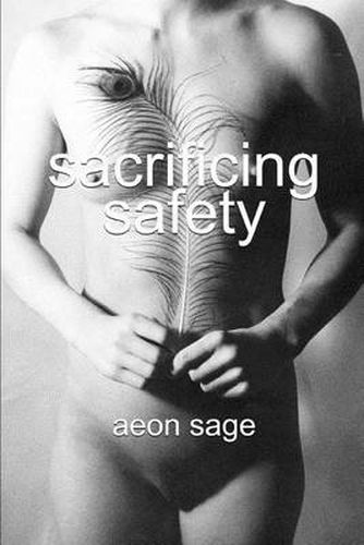 Cover image for Sacrificing Safety