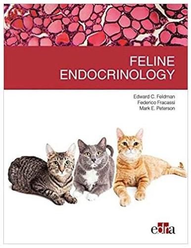 Cover image for Feline endocrinology