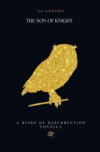 Cover image for Son of Knight