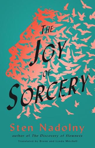 Cover image for The Joy of Sorcery