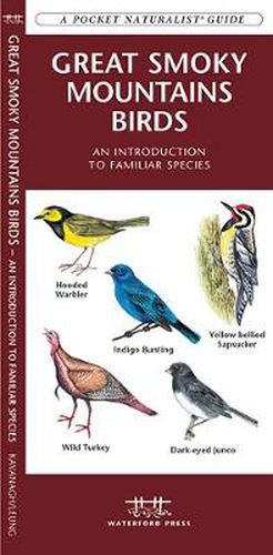 Cover image for Great Smoky Mountains Birds: A Folding Pocket Guide to Familiar Species