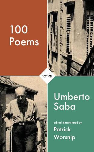 Cover image for 100 Poems