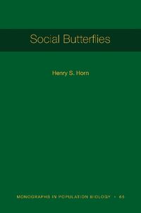 Cover image for Social Butterflies