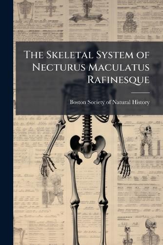 Cover image for The Skeletal System of Necturus Maculatus Rafinesque