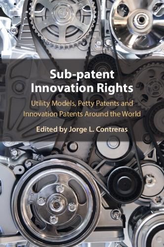 Cover image for Sub-Patent Innovation Rights