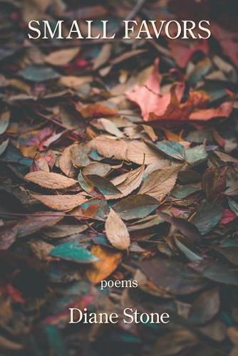 Cover image for Small Favors