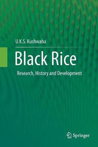 Cover image for Black Rice: Research, History and Development