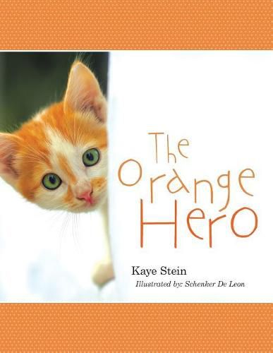 Cover image for The Orange Hero