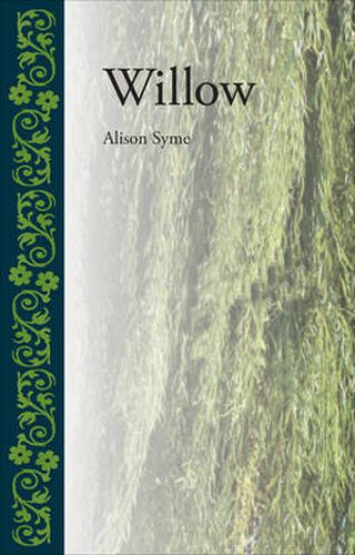 Cover image for Willow