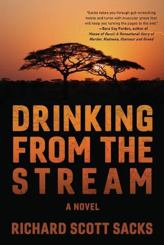 Cover image for Drinking from the Stream